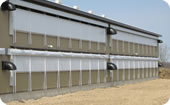 broiler chicken barn system