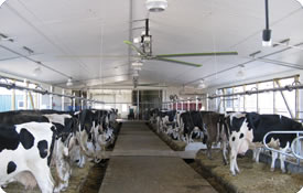 ceiling fan ventilation hvls fans