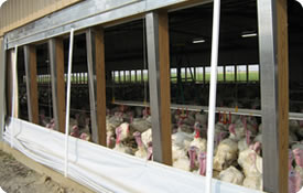 why use insulation in a barn