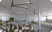 goat barn ventilation