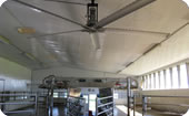 milking parlour
