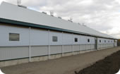Swine Breeding & Gestation Housing Swine Breeding & Gestation Housing