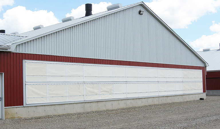 Broiler Breeders Broiler Breeders