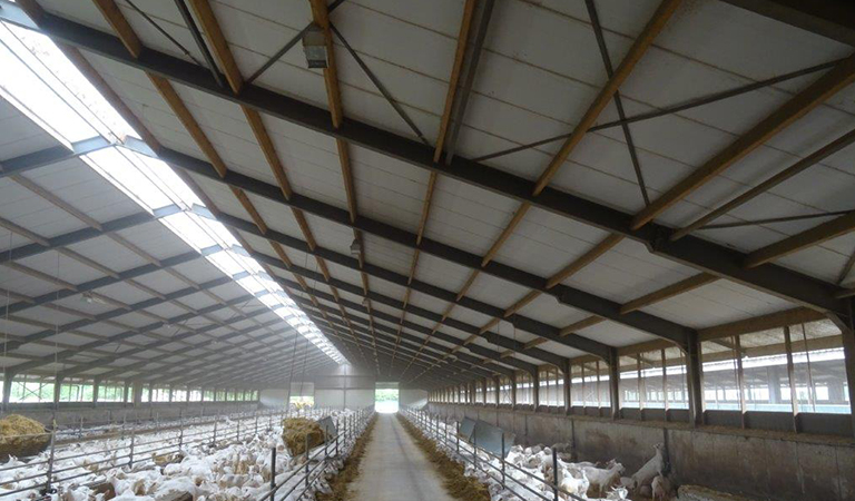 Dura-Lite Fixed Ridge on a Goat Barn