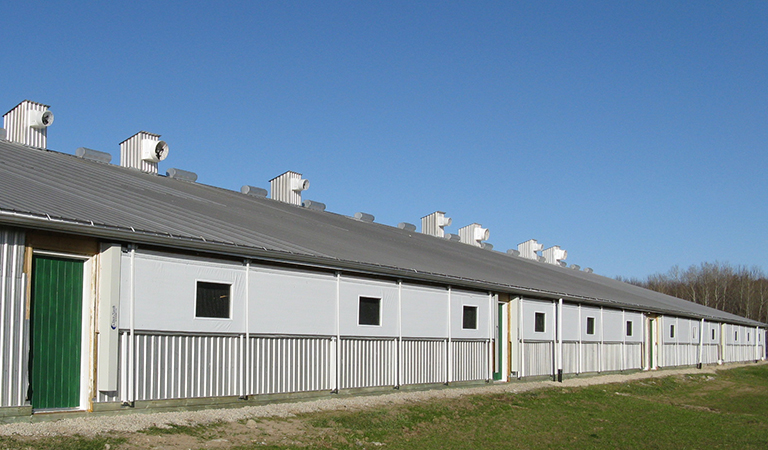 Swine Farrowing & Nursing Barn