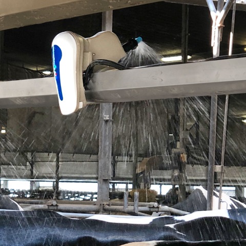 Altra-Air Sailfin Fan Installed In a Storage Facility